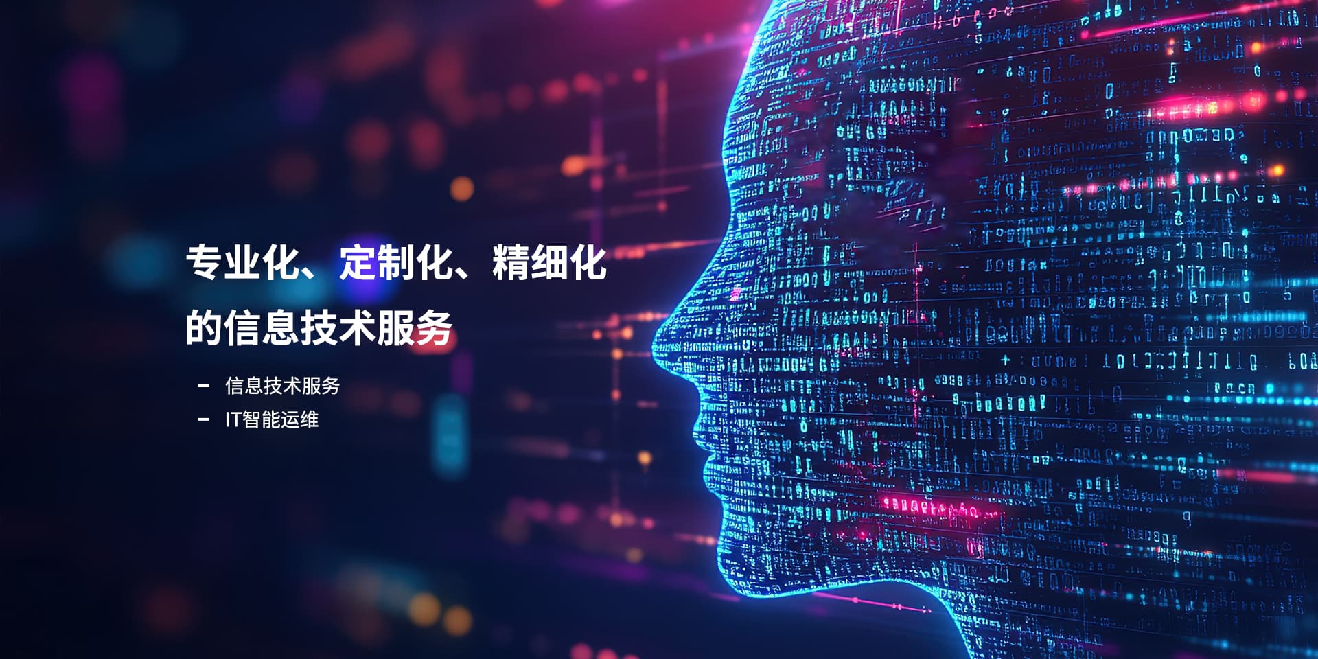 专业化、、、、定制化、、精细化的信息技术服务_94